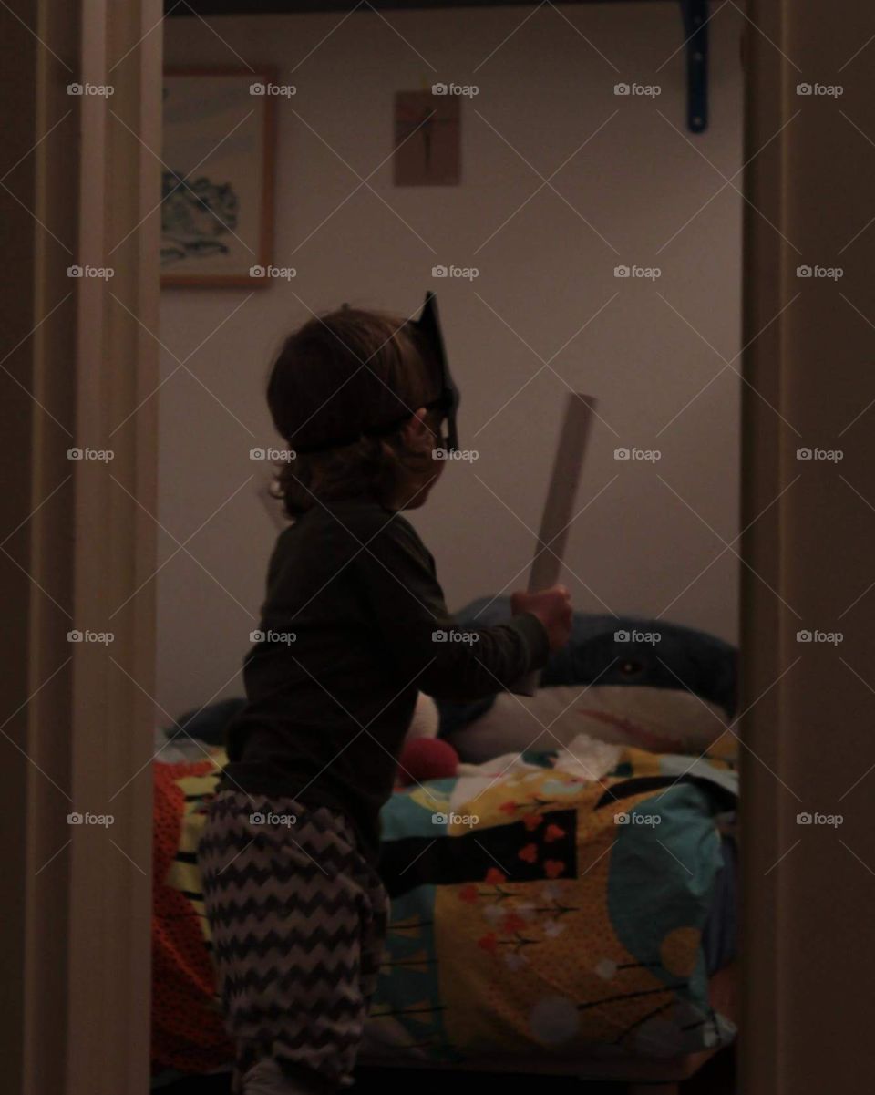 Il coraggio non è l’assenza di paura, ma piuttosto il giudizio che c’è qualcos’altro più importante della paura.
(Ambrose Redmoon) carnevale