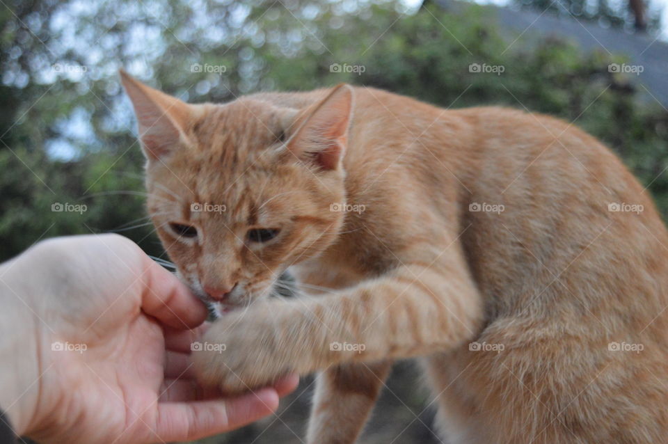 high five