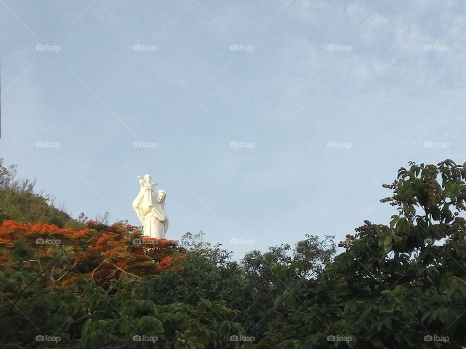 No Person, Tree, Sky, Outdoors, Travel
