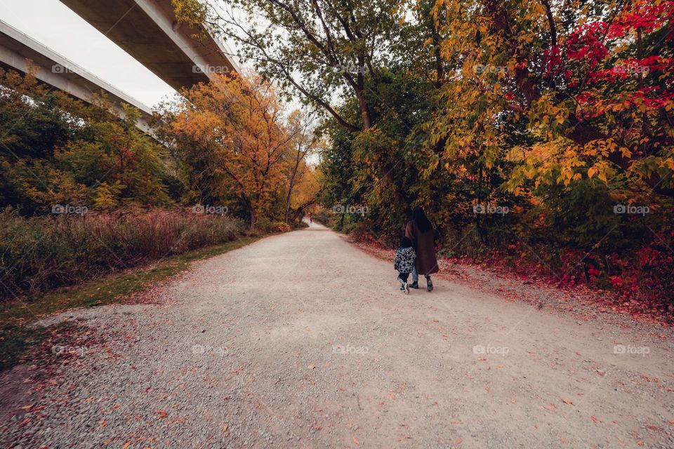 autumn walks in the park with beautiful fall colors