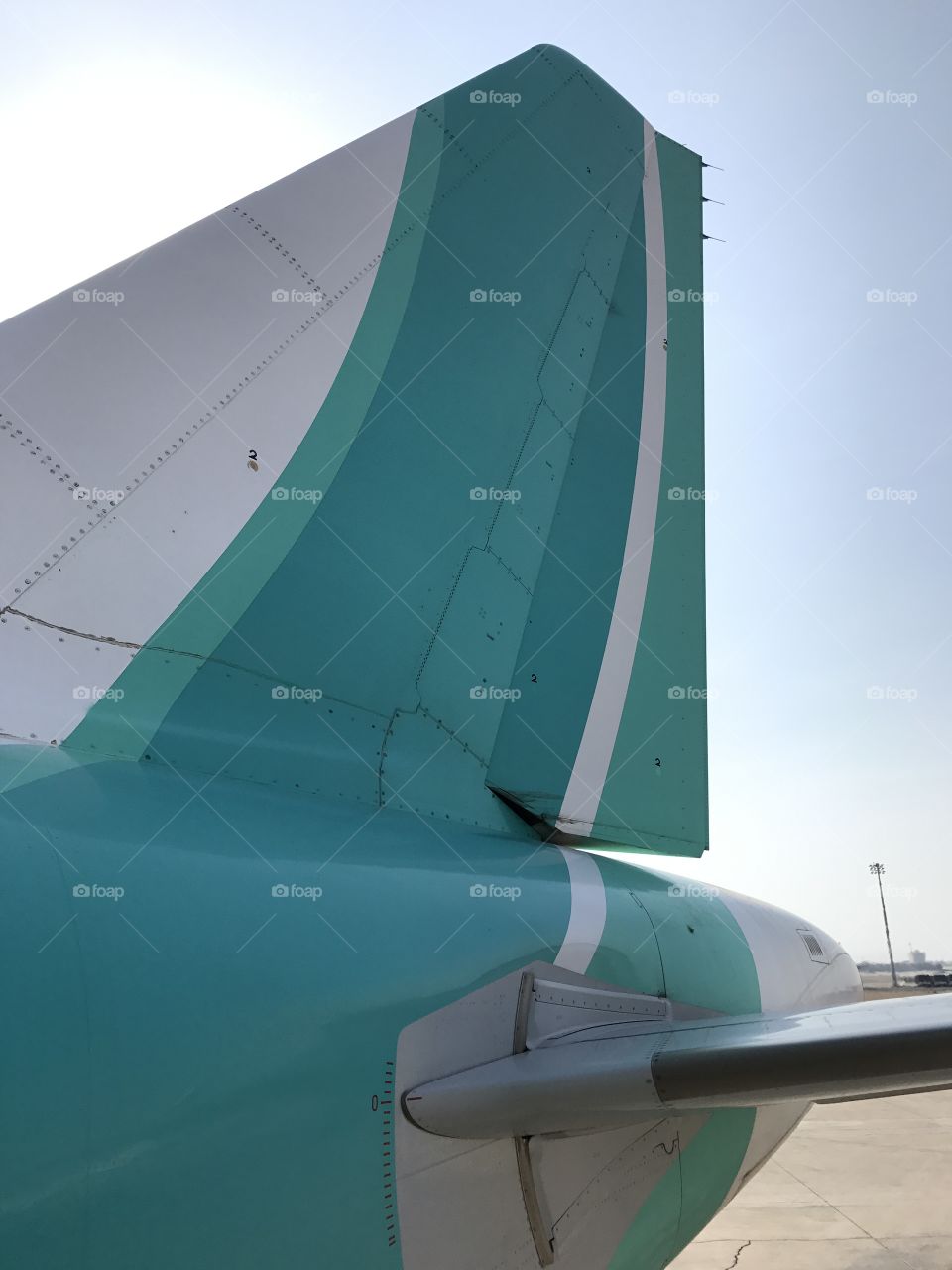The tail of A320 belongs to FlyNas airlines. At JED airport.