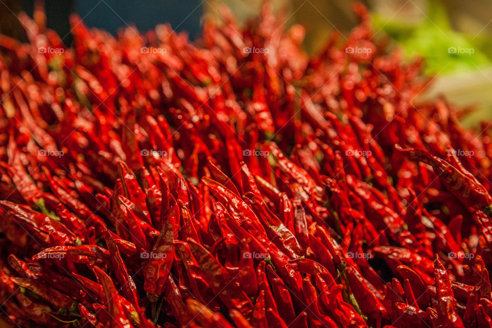 Close-up of red chillies