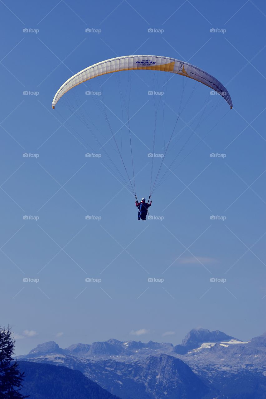 paraglider