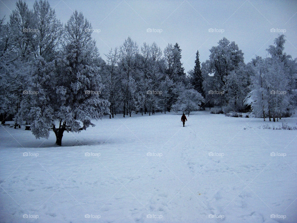 Linköping in winter