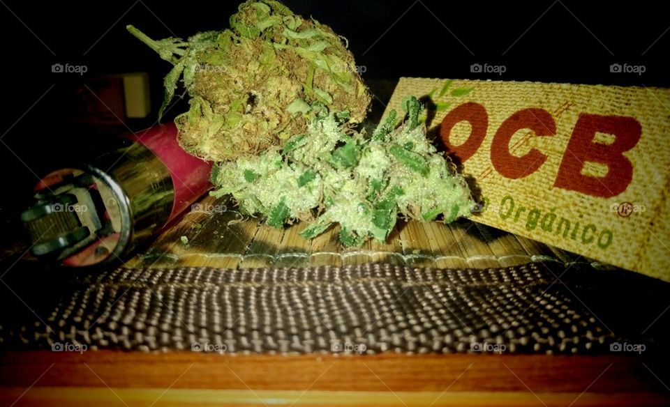  “La principal causa de la muerte en el planeta es el estrés y sigo pensando que la mejor medicina es y siempre ha sido el cannabis.” – 
