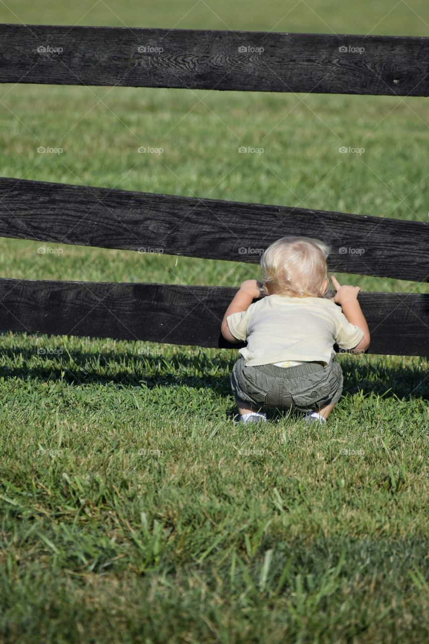 A child sitting on the grass