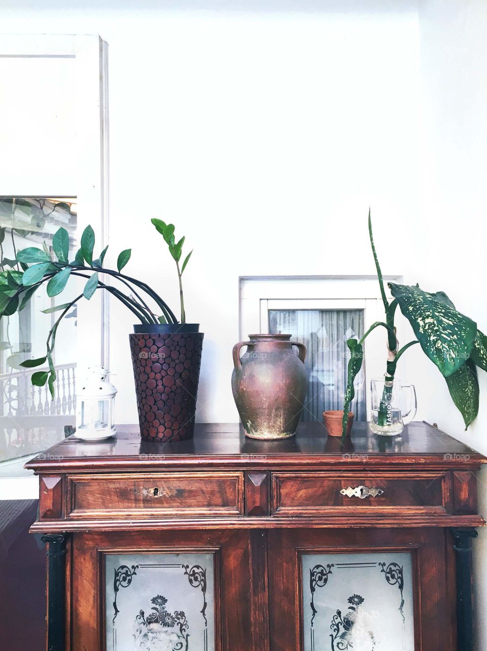 Green plants in vases on the vintage chest of drawers