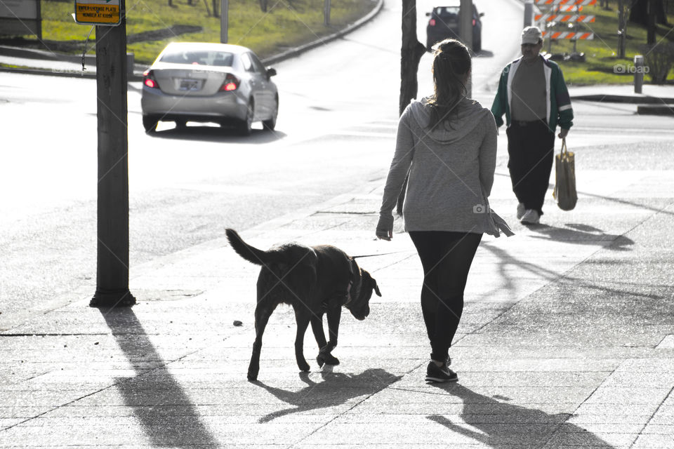 women with dog on Street, morning walk with pet