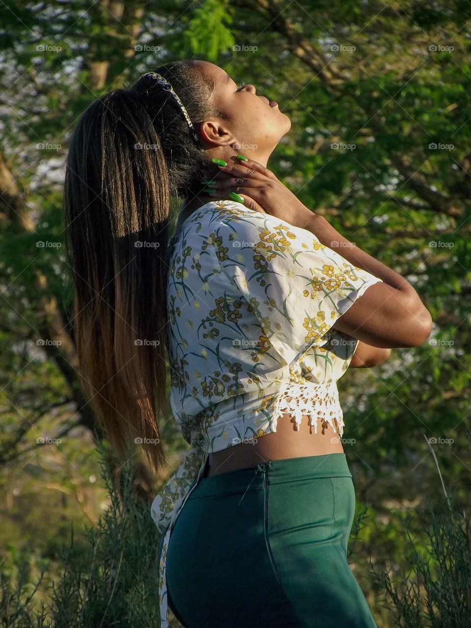 spring time in the southern Africa