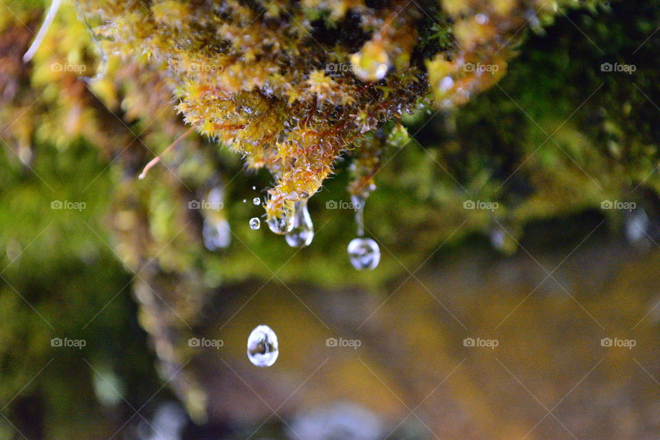 water drops