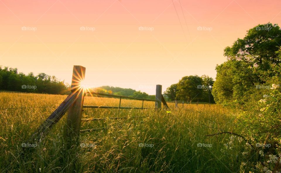 Sunset. Sunset in field