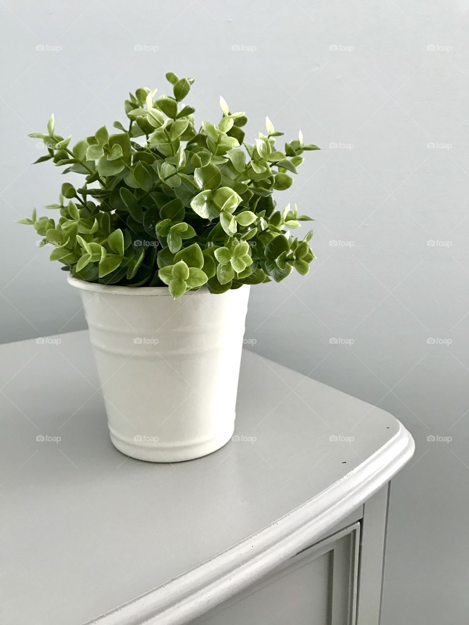 Plant on Dresser