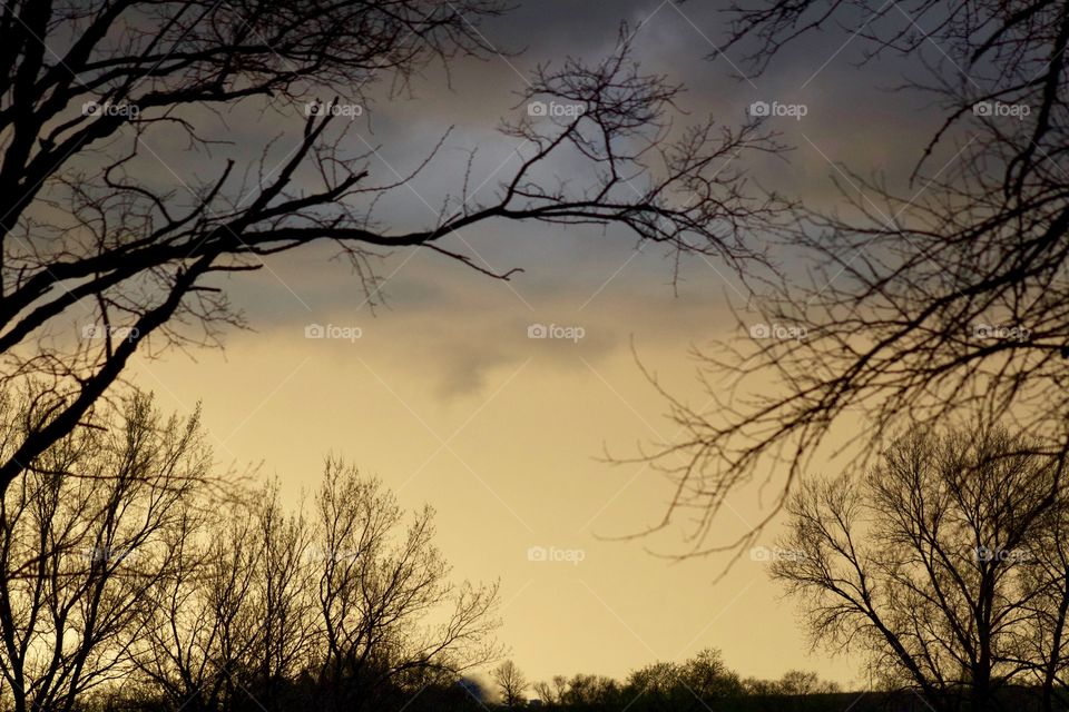 Dramatic sky after a storm, framed by leafless branches 