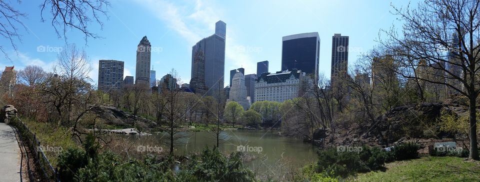 Central Park on a sunny spring day, New York City, NY, USA