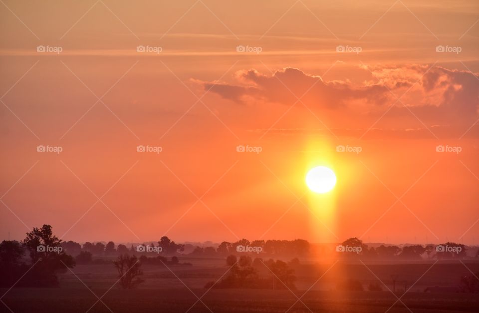 foggy morning in the fields in poland