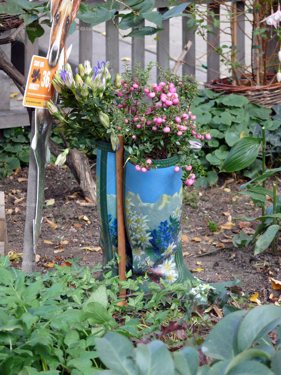 Plants in painted rainboots in the streets of Vienna, Austria.