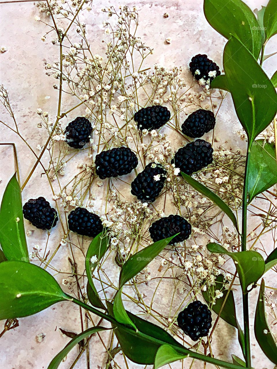 Blackberries 