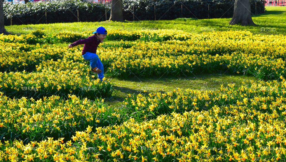 Boy running in flowers field