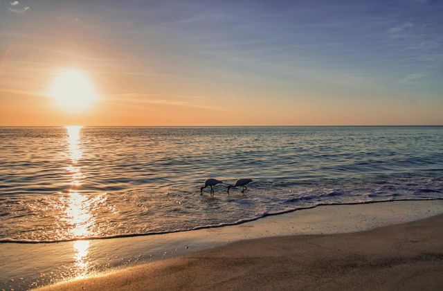 Beach