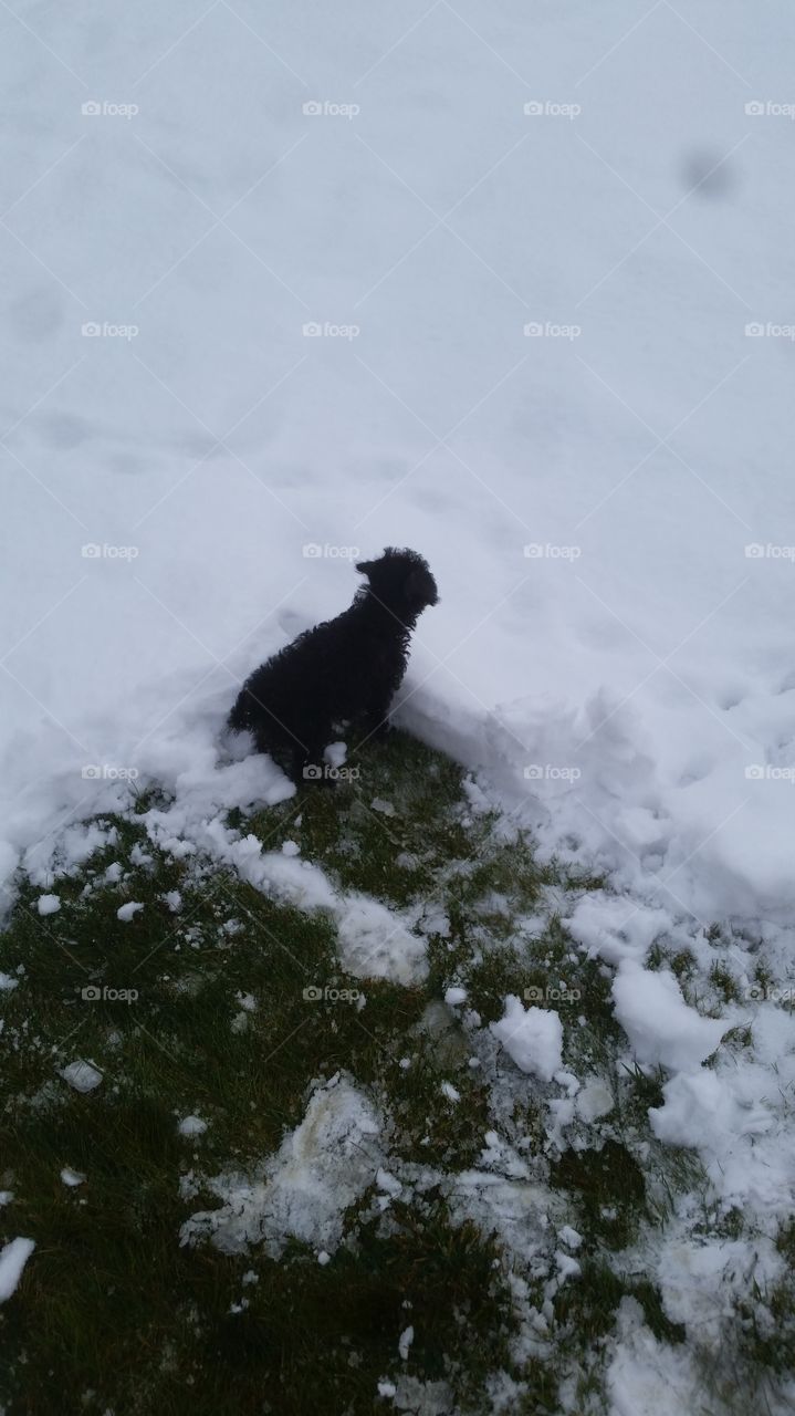 Do I dare wonder beyond my area of comfort