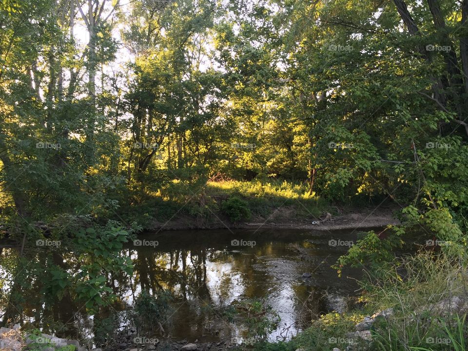 Dusk on the River