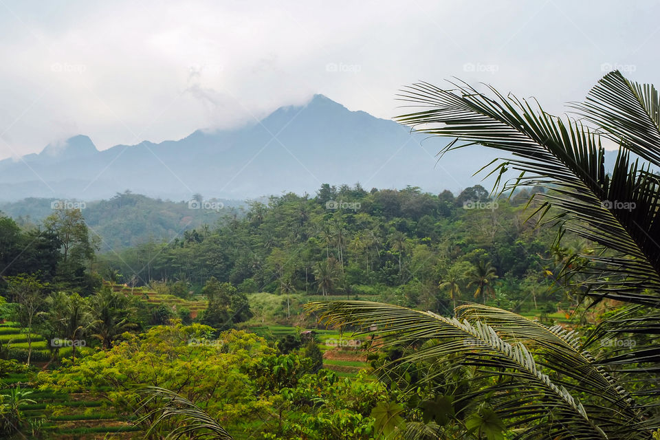 Landscape of muria mount.  jepara central java indonesia