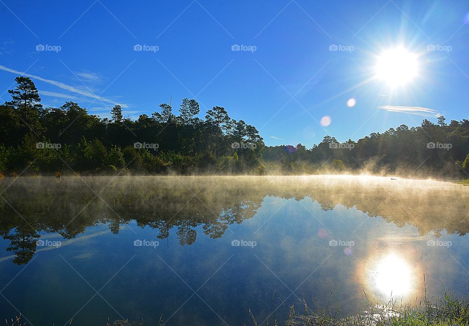 Sunrise, sunset and the moon - Blue skies and trees reflect into the pond as the hot sunrise glistens off the surface of the fog induced morning