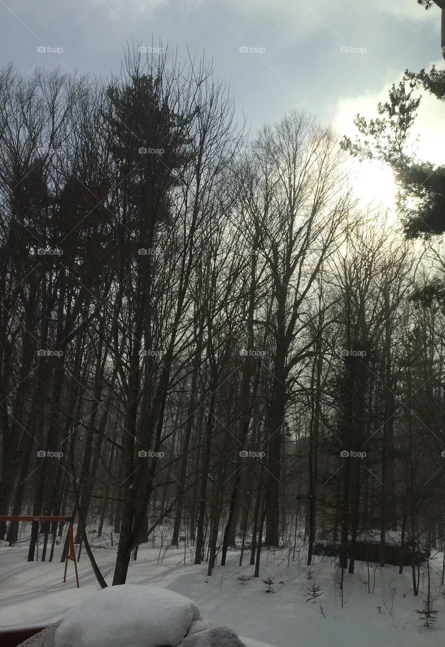 Snow sun
