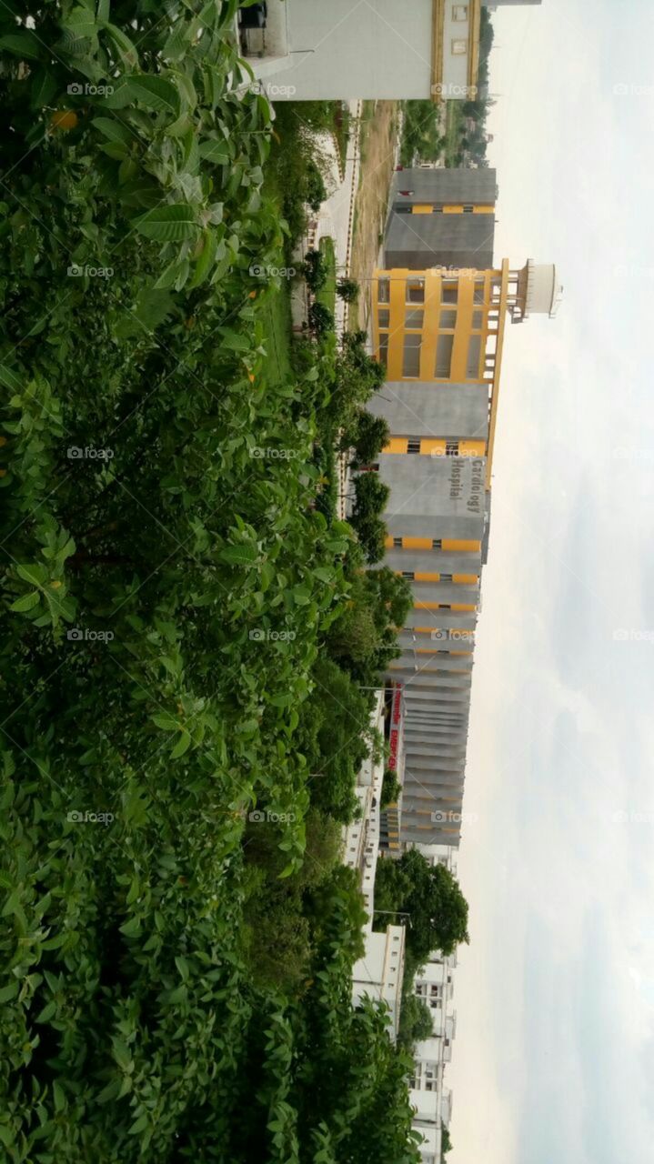 green area of building