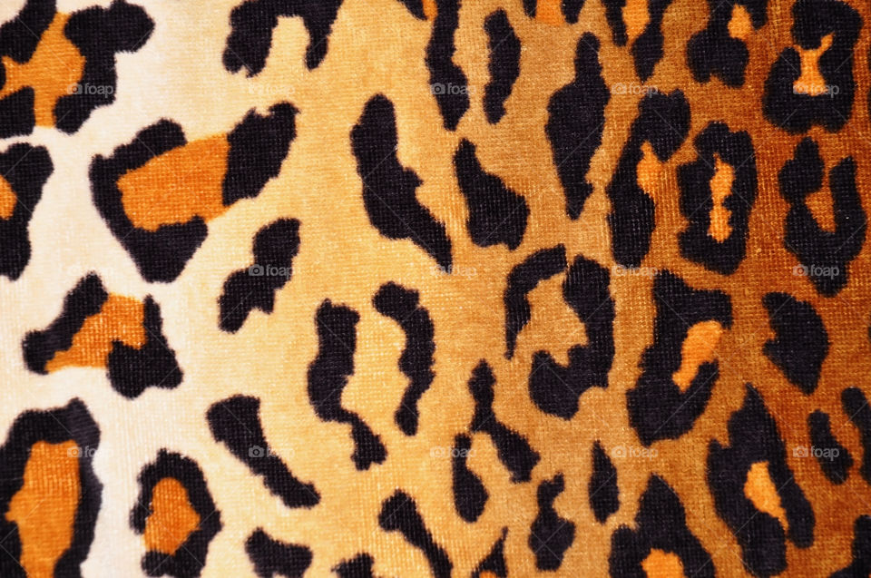 Animal print