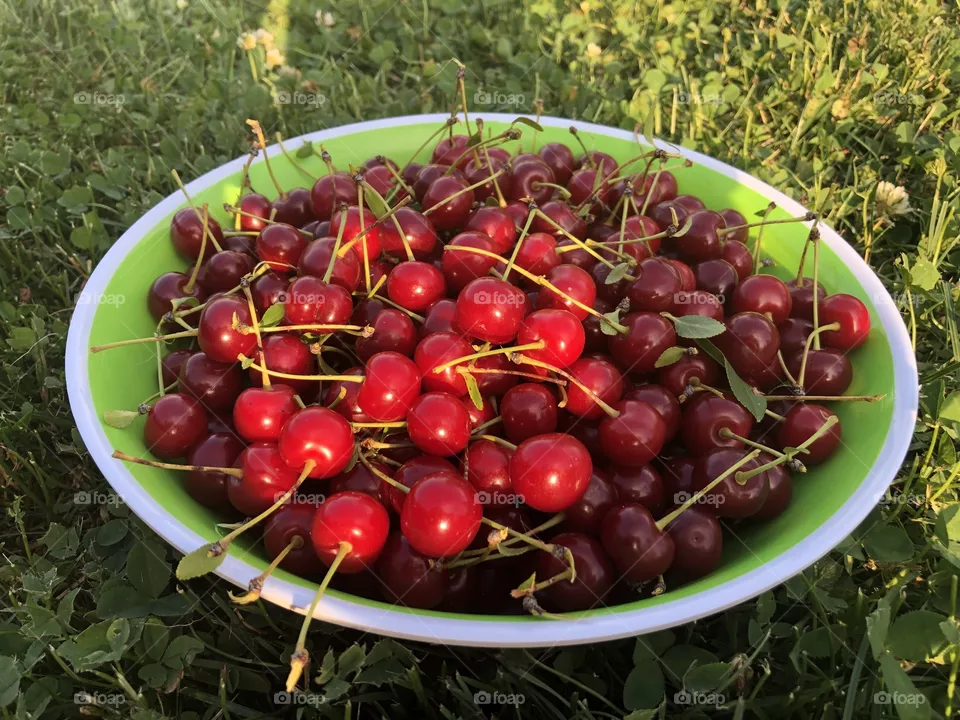 Cherries