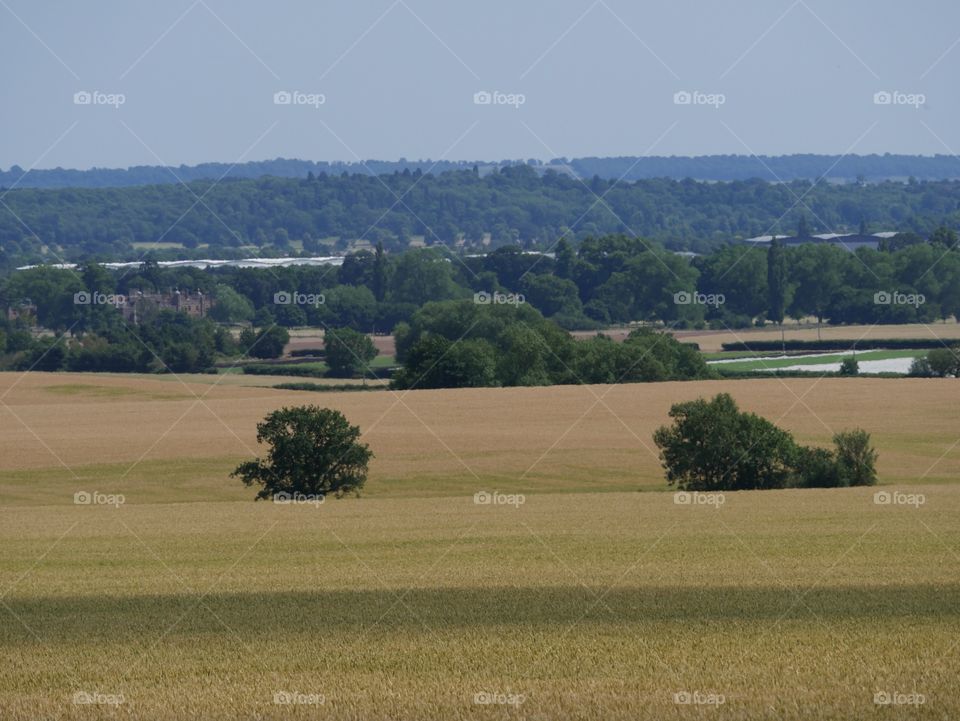 Farm. Farm land England 