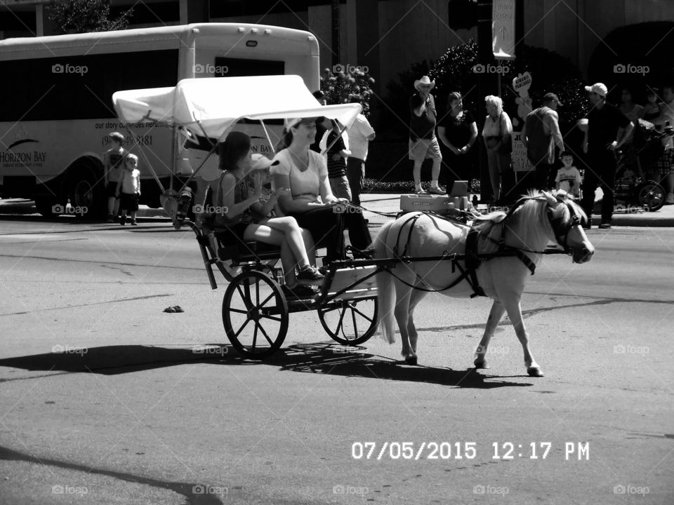 4th of July weekend parade. This horse 🐴 and carriage participated in the annual fourth of July parade in Graham Texas