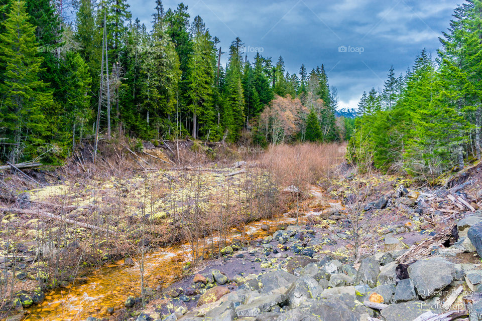 Rainer Creek