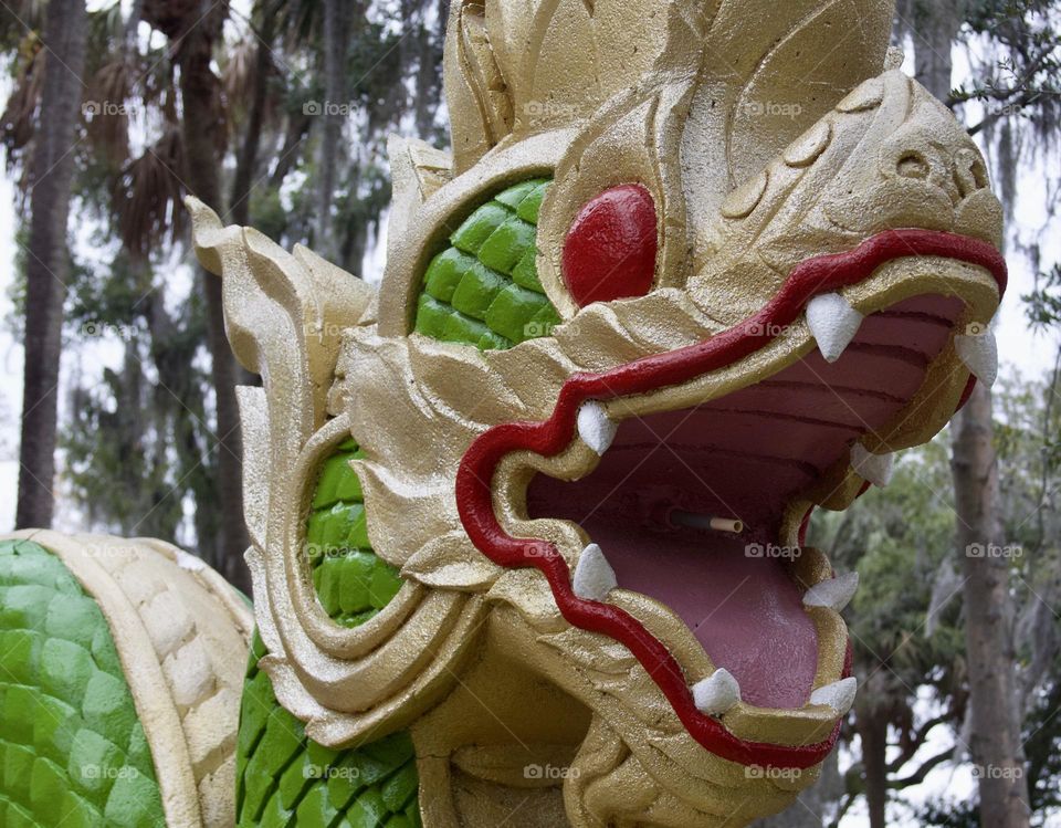 Thai Dragon Close-UP