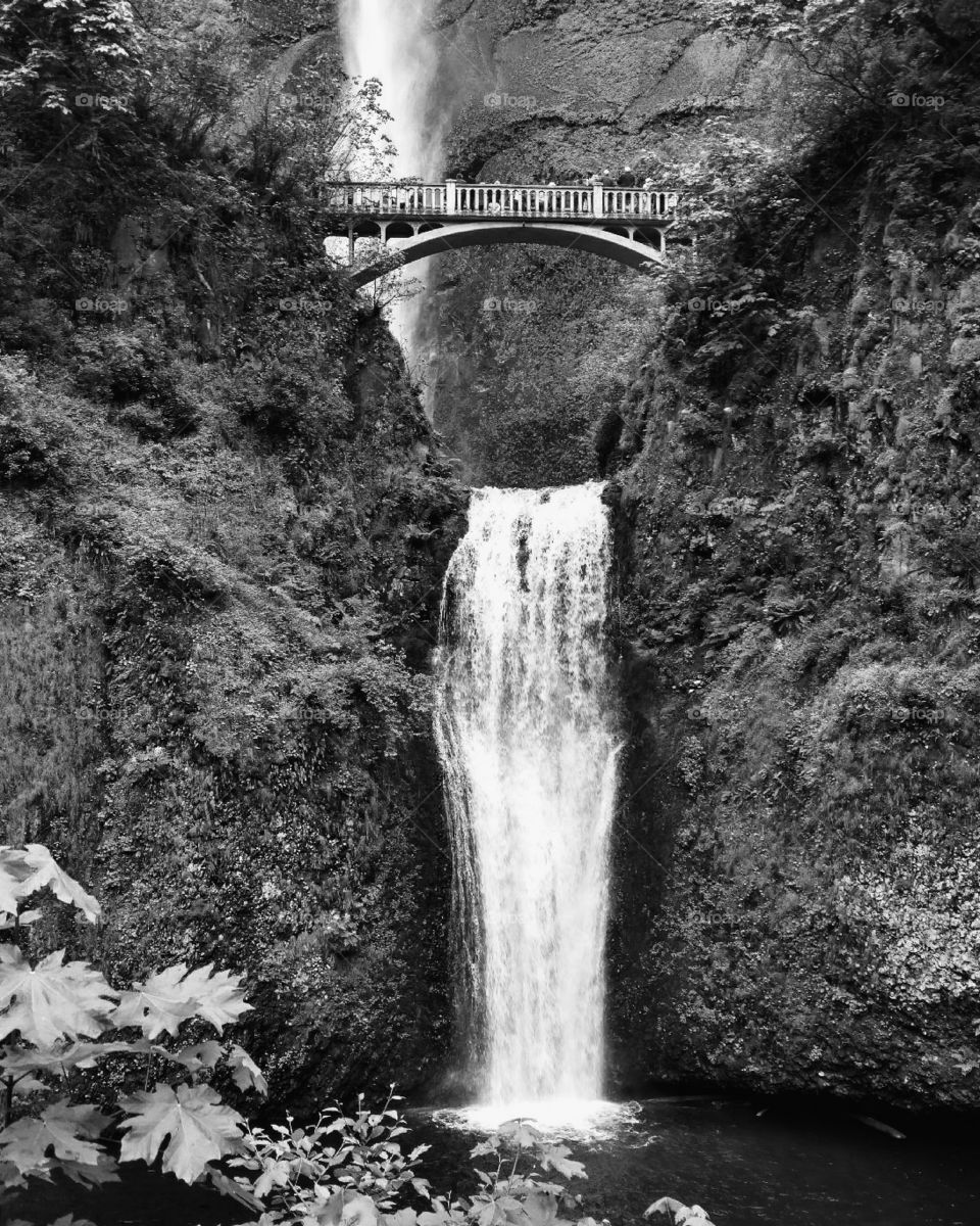 Multnomah Falls