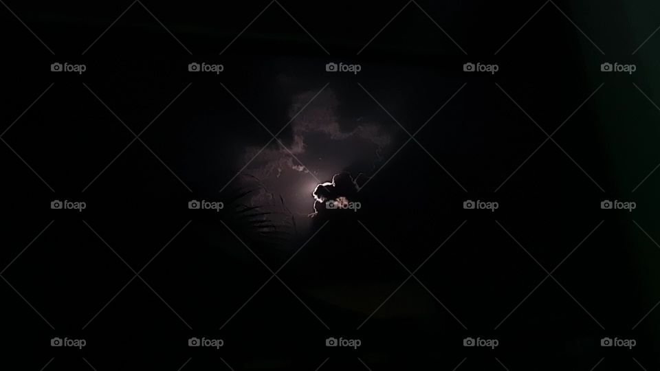 MOON HIDDEN BEHIND, LOVE BUD'S 💘