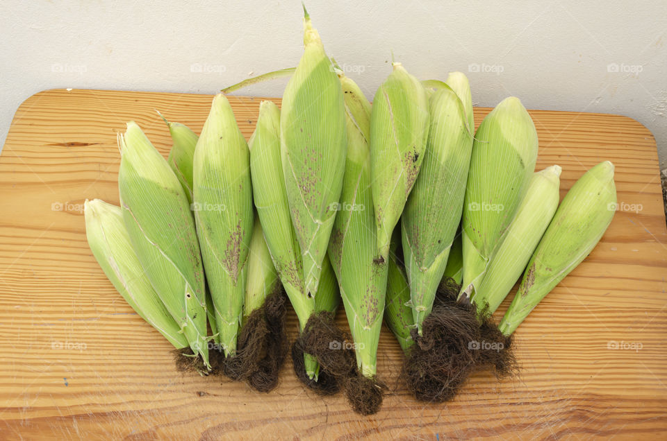 Green Corn Harvested