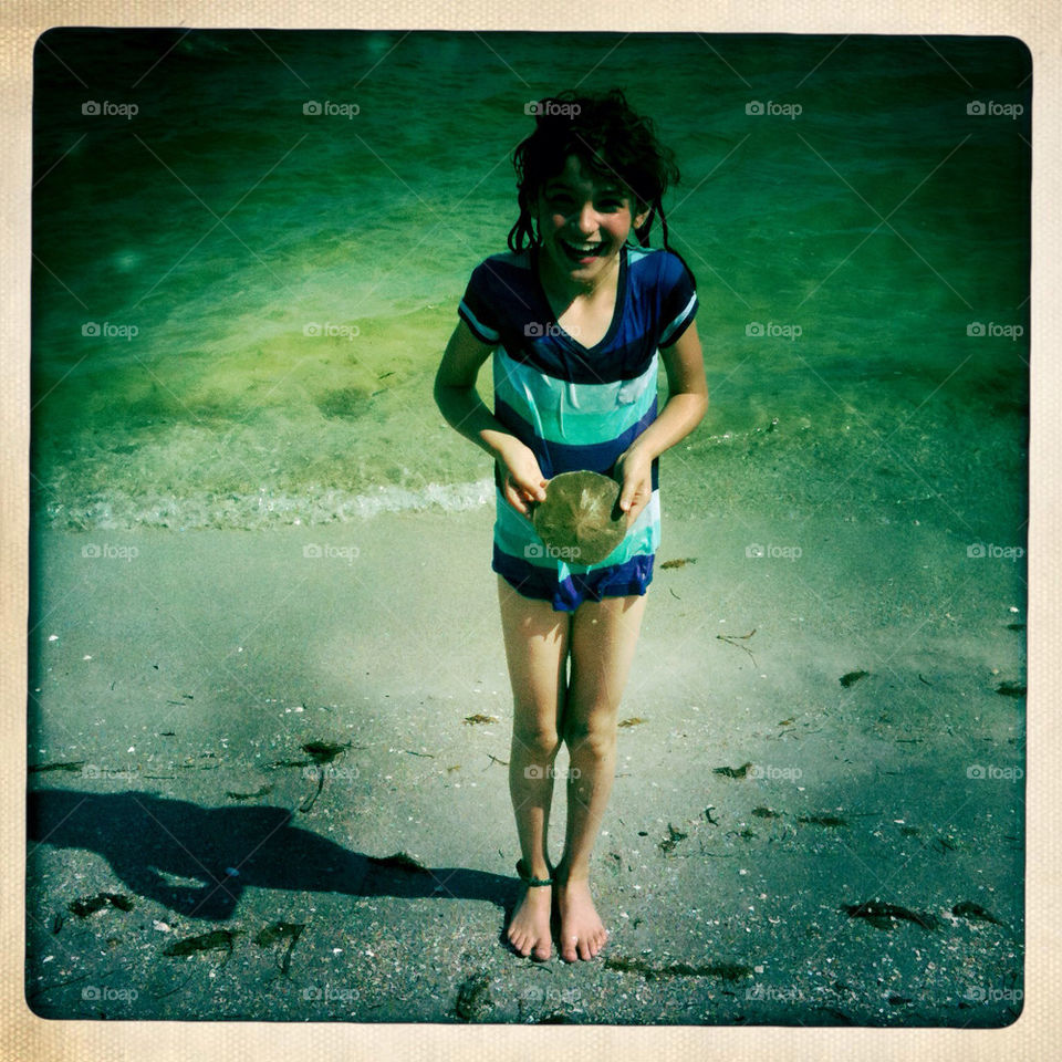 Sand Dollar in Florida