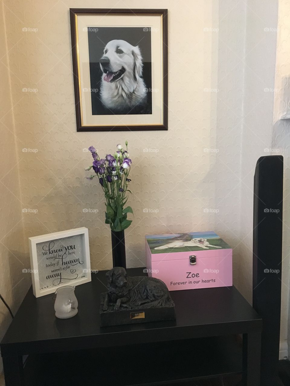 Indoors, Furniture, Interior Design, No Person, Room