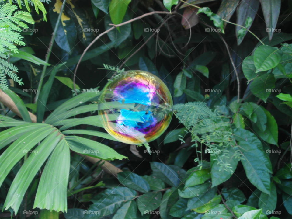 Close-up of soap bubble