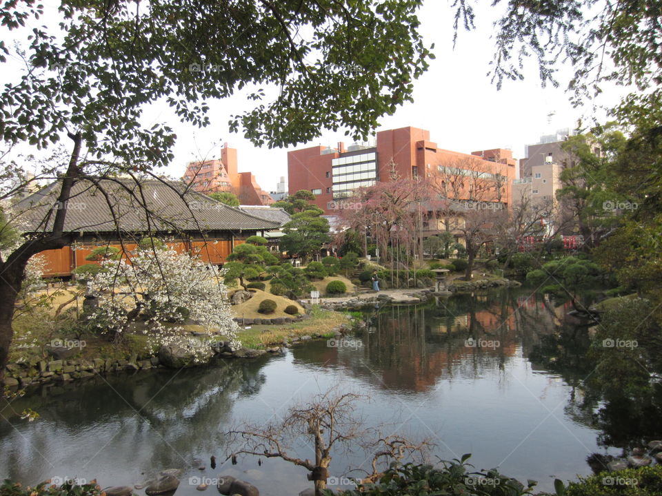 Asakusa, Tokyo, Japan. Garden on Sensoji Temple Grounds. Springtime at Kannon.