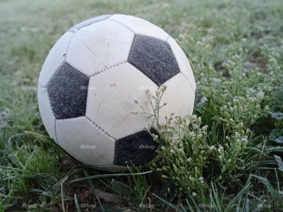 A soccer ball forgotten by children lying on frost-covered grass