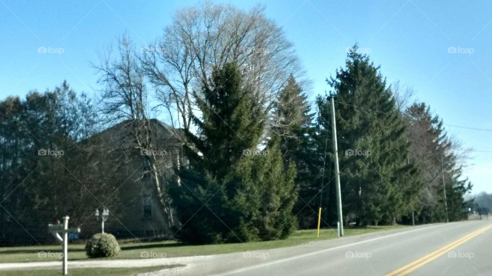 Road, Tree, Outdoors, Guidance, Nature