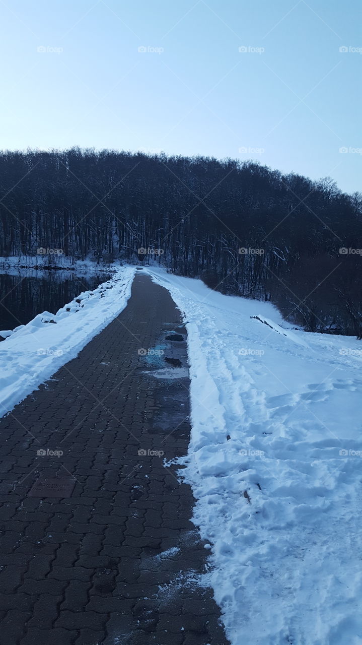 A Path in Winter