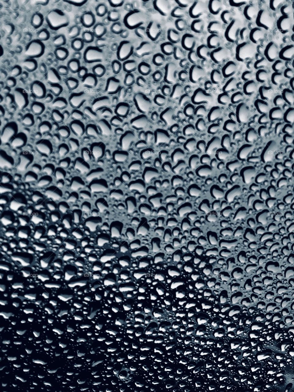 Raindrops on Window