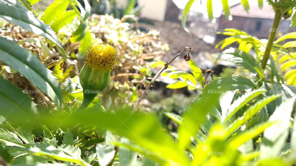 this photo is my mobile
click by,me 
@aashu_photography