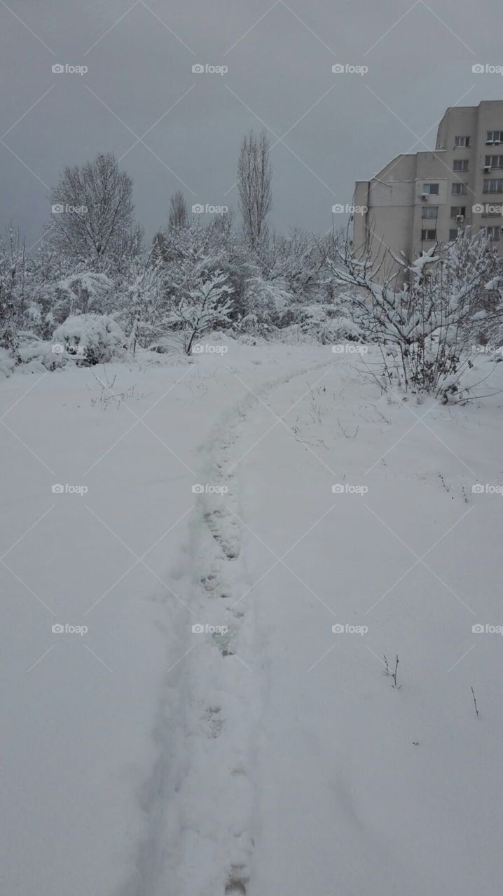 Nieve en Sofía capital de Bulgaria 