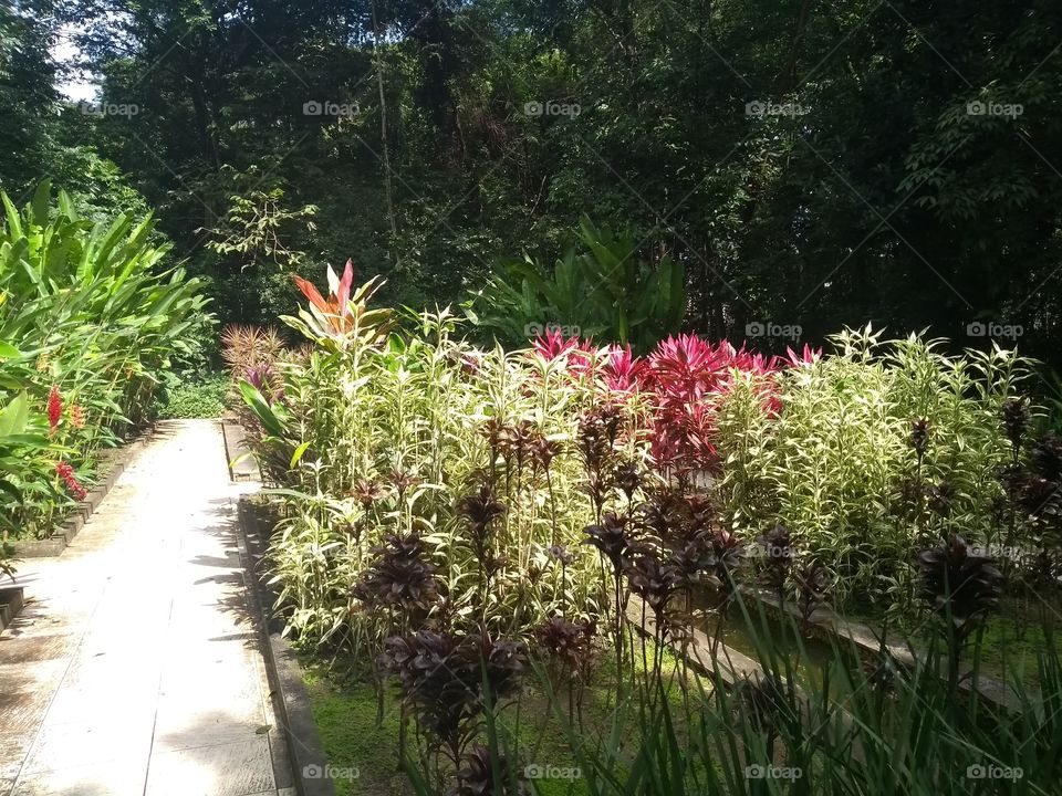 Jardim botânico
