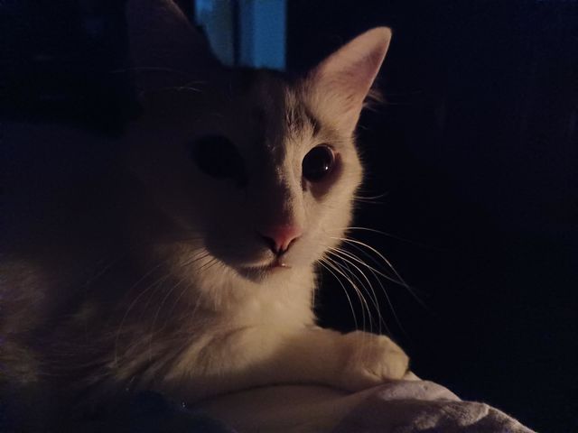 Charlie